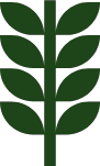 Community Education